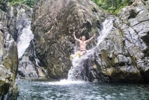 Excursão de um dia na floresta tropical El Yunque com transporte