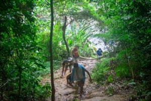 Levendige dagtour in El Yunque regenwoud met vervoer