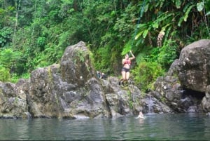 Levendige dagtour in El Yunque regenwoud met vervoer