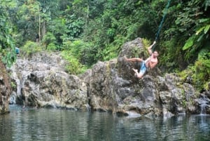 Excursion d'une journée dans la forêt tropicale d'El Yunque avec transport