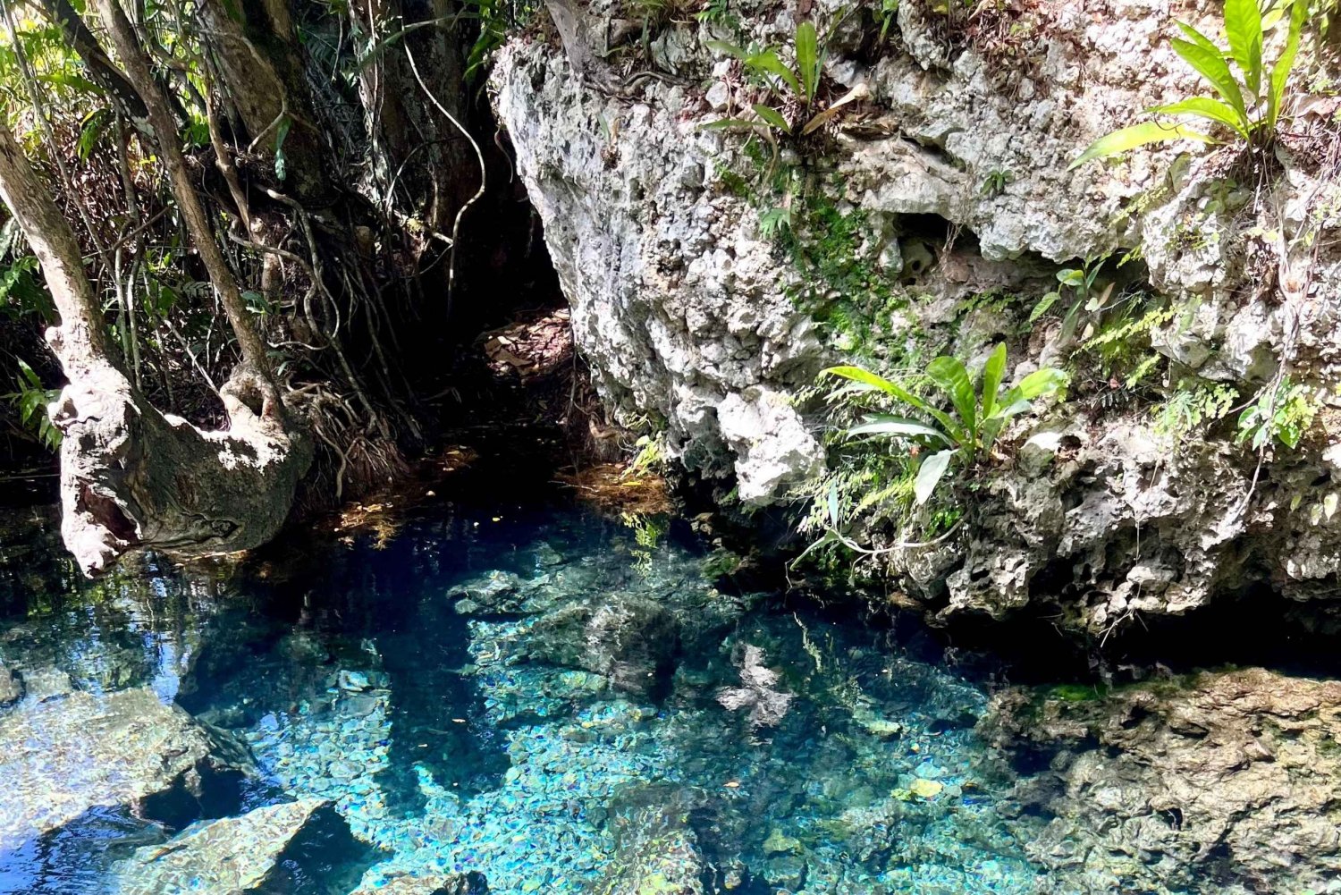 Water Spring, Cave & Lagoon Adventure