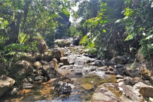 Fossefall i regnskogen med gjørmebad
