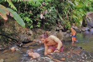 Cascada en la selva tropical con baño de barro