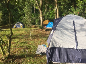 Firefly EcoCamping of Summer (July)