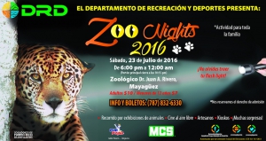 Zoo Nights