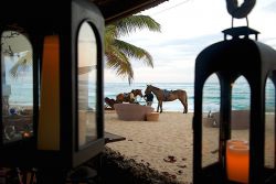 Villa Montaña in Isabela