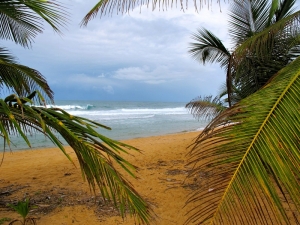 Aviones Beach, Puerto Rico