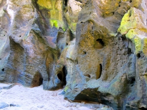  Carvings on limestone La Cueva del Indio 