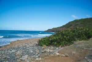Coast at Cabezas de San Juan