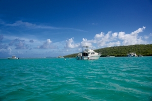 Dakiti Reef in Culebra, Puerto Rico