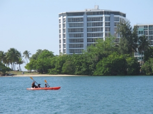 Kayaking in Lagoon, Condado, Puerto Rico