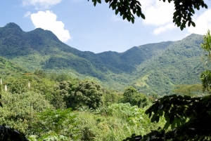 Los Tres Picachos, Jayuya