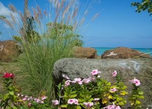 Luquillo Landscape, Puerto Rico