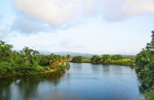 Río Grande de Loiza