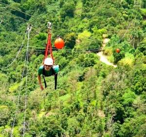 Toro Verde in Orocovis, Puerto Rico