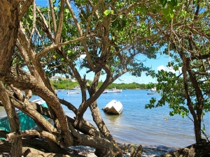 View from Fajardo, Puerto Rico
