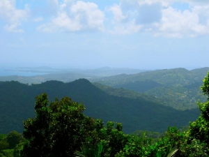 View of Luquillo, Puerto Rico from El Yunque