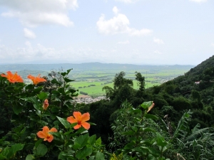 View of Yabucoa Valley