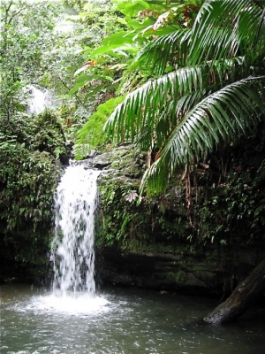 Waterfall in El Yunque, Puerto Rico