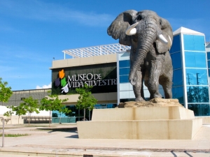 Wildlife Museum, San Juan, Puerto Rico