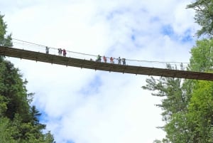 Canyon Sainte-Anne: Park Admission Ticket