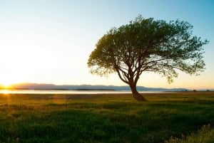 L'Isle-aux-Grues: St. Lawrence-ekspeditionens hemmelige øer