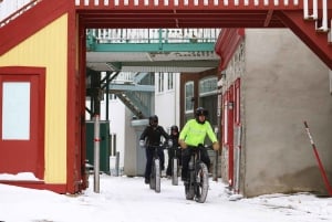 Quebec City: Fat Bike guidet tur