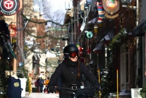 Quebec City: Fat Bike guidet tur