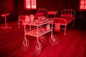 Fra Quebec City: Rundvisning og krydstogt på Grosse Île + bustransport