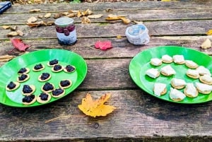 Quebec City: Guidet fottur i Jacques-Cartier nasjonalpark