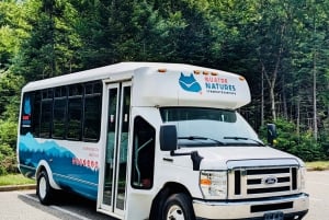 Quebec City: Guidet fottur i Jacques-Cartier nasjonalpark