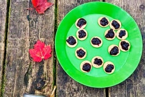 Quebec City: Guidet fottur i Jacques-Cartier nasjonalpark