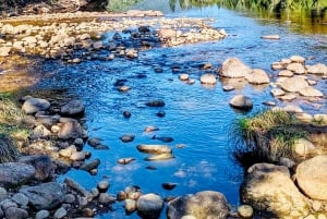Quebec City: Guidet fottur i Jacques-Cartier nasjonalpark