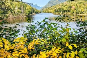 Quebec City: Guidet fottur i Jacques-Cartier nasjonalpark