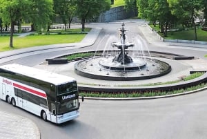 Fra Quebec City: Heldagsutflukt med hvalsafari