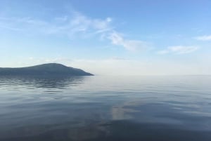 Guidet cruise for å oppdage Orleans Island og Quebec City