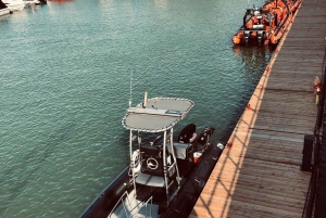 Guidet cruise for å oppdage Orleans Island og Quebec City