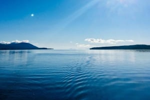 Guidet cruise for å oppdage Orleans Island og Quebec City