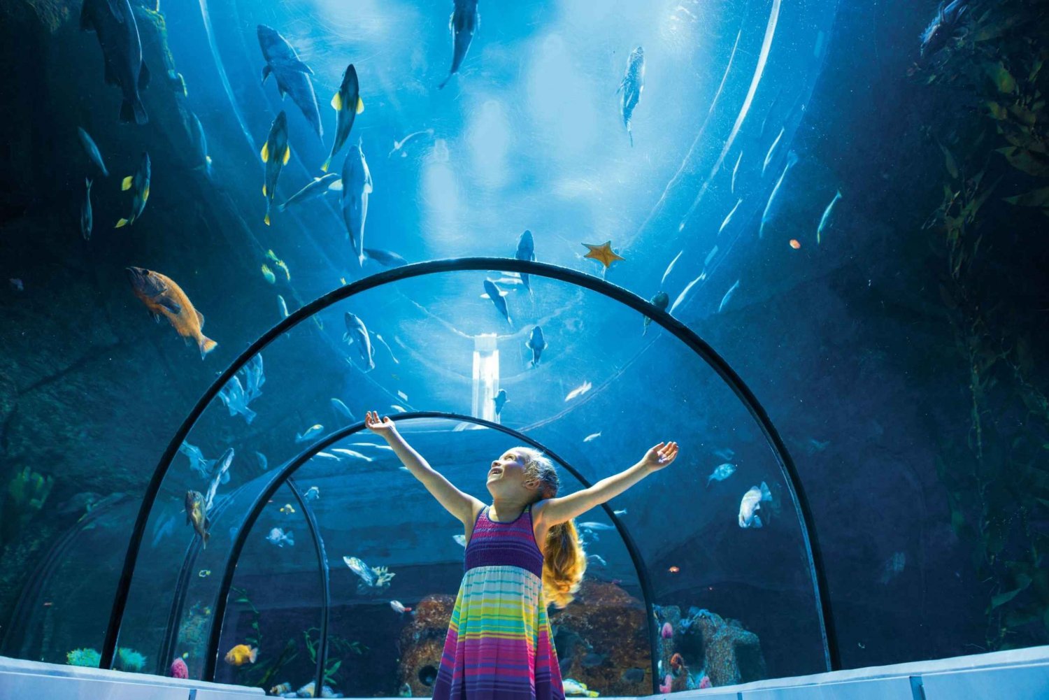 Quebec: Aquarium du Quebec entrébillet