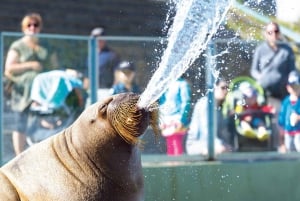 Quebec: Aquarium du Quebec entrébillet