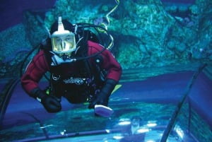 Quebec: Aquarium du Quebec entrébillet