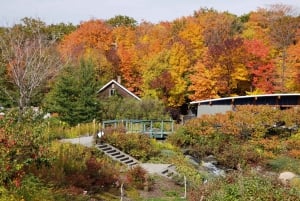 Quebec: Aquarium du Quebec entrébillet