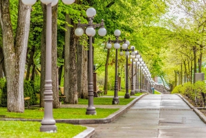 Quebec City: 1-times ekspres dobbeltdækker-bustur