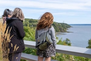 ケベックシティ - オルレアン島の E-Tandem レンタル