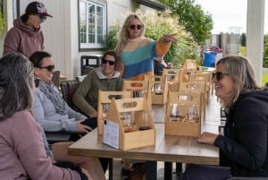 ケベックシティ - オルレアン島の E-Tandem レンタル