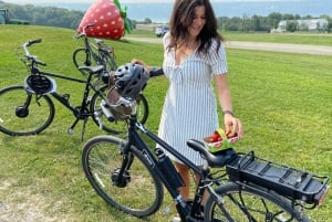 Quebec City: Elcykeluthyrning på Ile d'Orléans