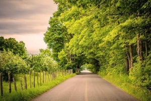 Quebec City: Elcykeluthyrning på Ile d'Orléans