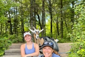 Quebec City: Guidet vandretur med geder og besøg ved en bæverdæmning med picnic