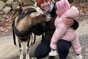 Quebec City: Guidet vandretur med geder og besøg ved en bæverdæmning med picnic