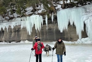 Quebec City: Guidet vandretur med geder og besøg ved en bæverdæmning med picnic